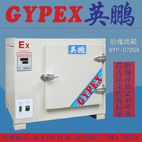 化工廠油漆涂料用防爆烘箱