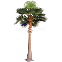 仿真棕櫚樹 會展展廳落地人造扇葵樹 地面裝飾品仿真棕櫚樹