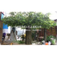 仿真榕樹假樹仿真榕樹仿真大型榕樹酒店 裝飾祈福樹發財樹