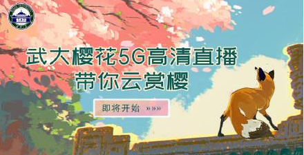 武大櫻花5G直播 武漢大學櫻花首次5G直播 一睹中華名校三月芳華(圖)