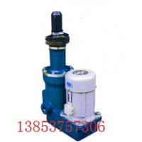 DTZ電動推桿 電液推桿 熱銷電液動推桿