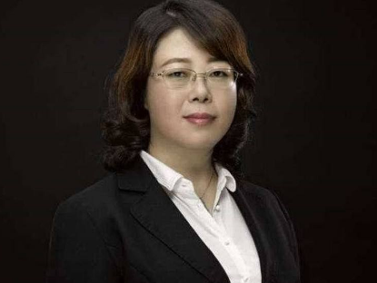 樂視董事長辭職 劉淑青辭任樂視網董事長劉延峰接任(圖)