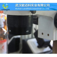 3-苯丙酸CAS號(hào)：501-52-0