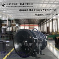 廣西全貫流潛水電泵