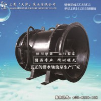 安徽宣城漂浮式全貫流泵