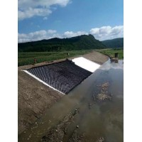 伸縮自如河道護坡護岸蜂巢約束系統河道邊坡加固蜂巢土工格室