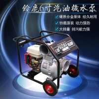 便攜式大流量汽油機污水泵