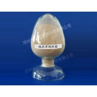 匯邦生物地衣芽孢桿菌/地衣芽孢桿菌價格/地衣芽孢桿菌廠家