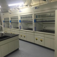 通風柜實驗室通風廚北京通風柜-LABCOCO智能通風柜