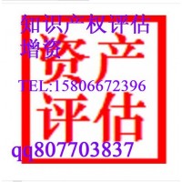 威海技術評估，無形資產評估入股增資驗資