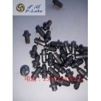 供應(yīng)上海平湖標牌焊釘 天津標牌焊釘 濟南標牌焊釘