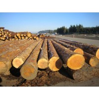 東非黑黃檀進口關稅多高廣州報關