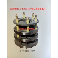 長沙電機廠產(chǎn)新型H500-630高壓電機集電環(huán) 廠家直銷