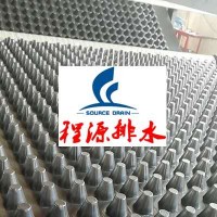 廊坊廠家供應(yīng)兩公分地下排水板