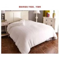 被芯 四季被 夏被 可機洗羽絲絨被芯