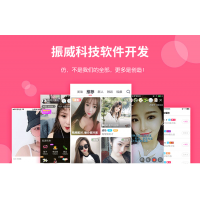 東莞直播軟件開發-廣東振威軟件開發有限公司