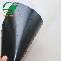 環保治理型蓄水池防滲膜土工膜下單生產