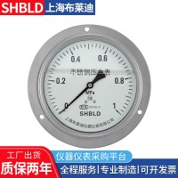 布萊迪壓力表一般壓力表不銹鋼耐震壓力表壓力表生產(chǎn)廠家