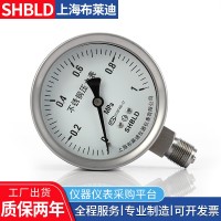 上海布萊迪Y-200 Y-250普通一般壓力表氣壓表