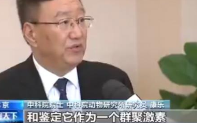 中科院團隊成功揭秘蝗災罪魁禍首