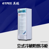 漢中防爆冰柜，單門單溫防爆冷柜