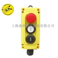電梯檢修盒進(jìn)口操作手柄意大利GG手電門TLP3K