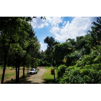 國慶出游熱門農家樂，還不趕快預訂，早訂可省一半，經濟又實惠