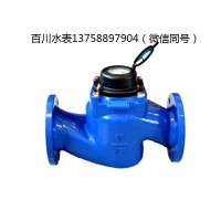 WS80垂直可拆螺翼式大口徑工業水表