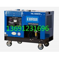 日本進口東洋發電機TDL13000TE