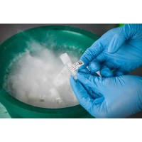 BRADY貝迪B-490實(shí)驗室低溫液氮冷凍標(biāo)簽