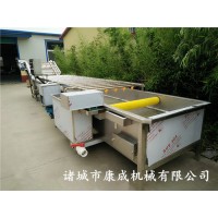 靖遠(yuǎn)鮮果枸杞清洗機(jī) 枸杞清洗風(fēng)干流水線