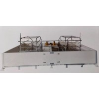 母豬專用歐式產(chǎn)床