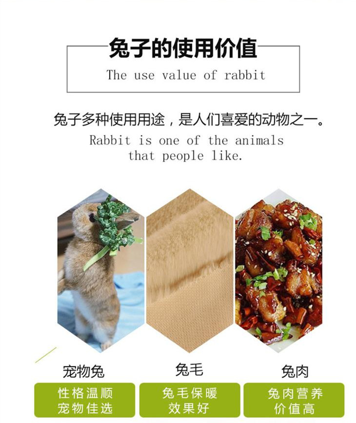 u=1275554659,2124812076&fm=199&app=68&f=JPEG.j_