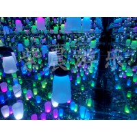 紫晨游樂    星空藝術館的源頭生產廠家