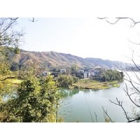 浙江眾扶農業，湖州眾扶發展，浙江眾扶農業，湖州茶園加盟