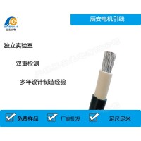 JBQ電機(jī)引線 -辰安電機(jī)引線生產(chǎn)廠家