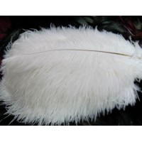 鴕鳥毛進(jìn)口清關(guān)公司