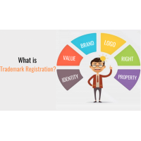 注冊的商標(biāo)可以是由人的知覺識別的文字圖形符號立體形狀色彩