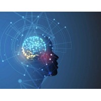 煙臺市 國家工程實驗室