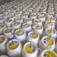 腳踏式壓力桶 農村旱廁改造沖廁桶 蓄水桶35升