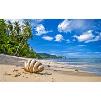 青島港進(jìn)口牛奶的有關(guān)流程